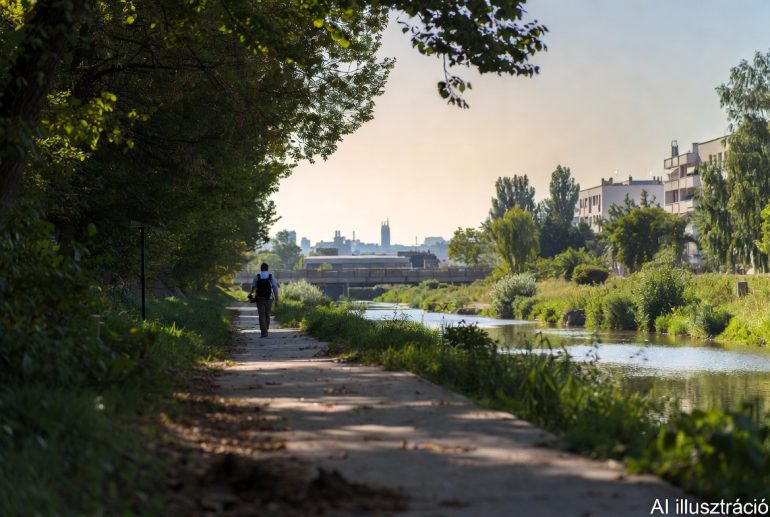 Budapest - Business class muszatics peter 2026 03