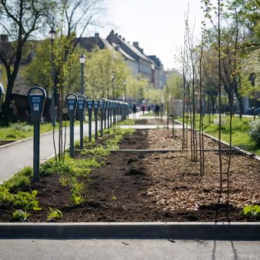 Fákat ültetnek a parkolóórák helyére a második kerületben